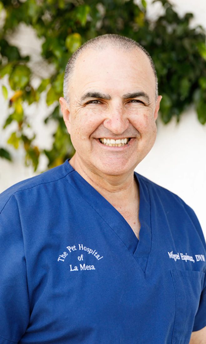 Smiling veterinarian in blue scrubs with The Pet Hospital of La Mesa logo