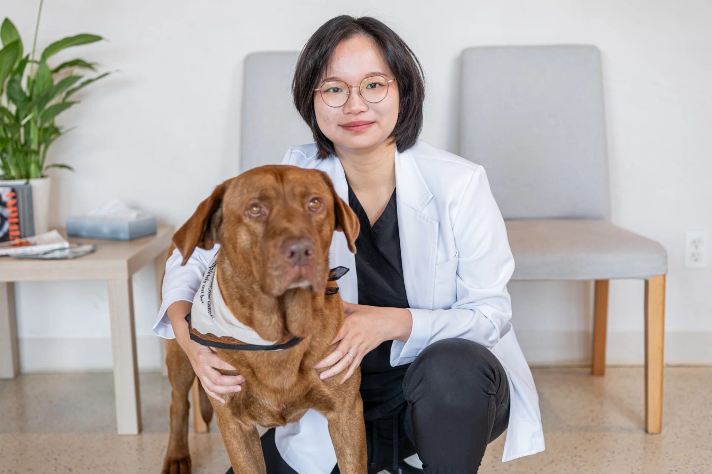 Veterinarian kneeling with brown dog in exam room at pet hospital