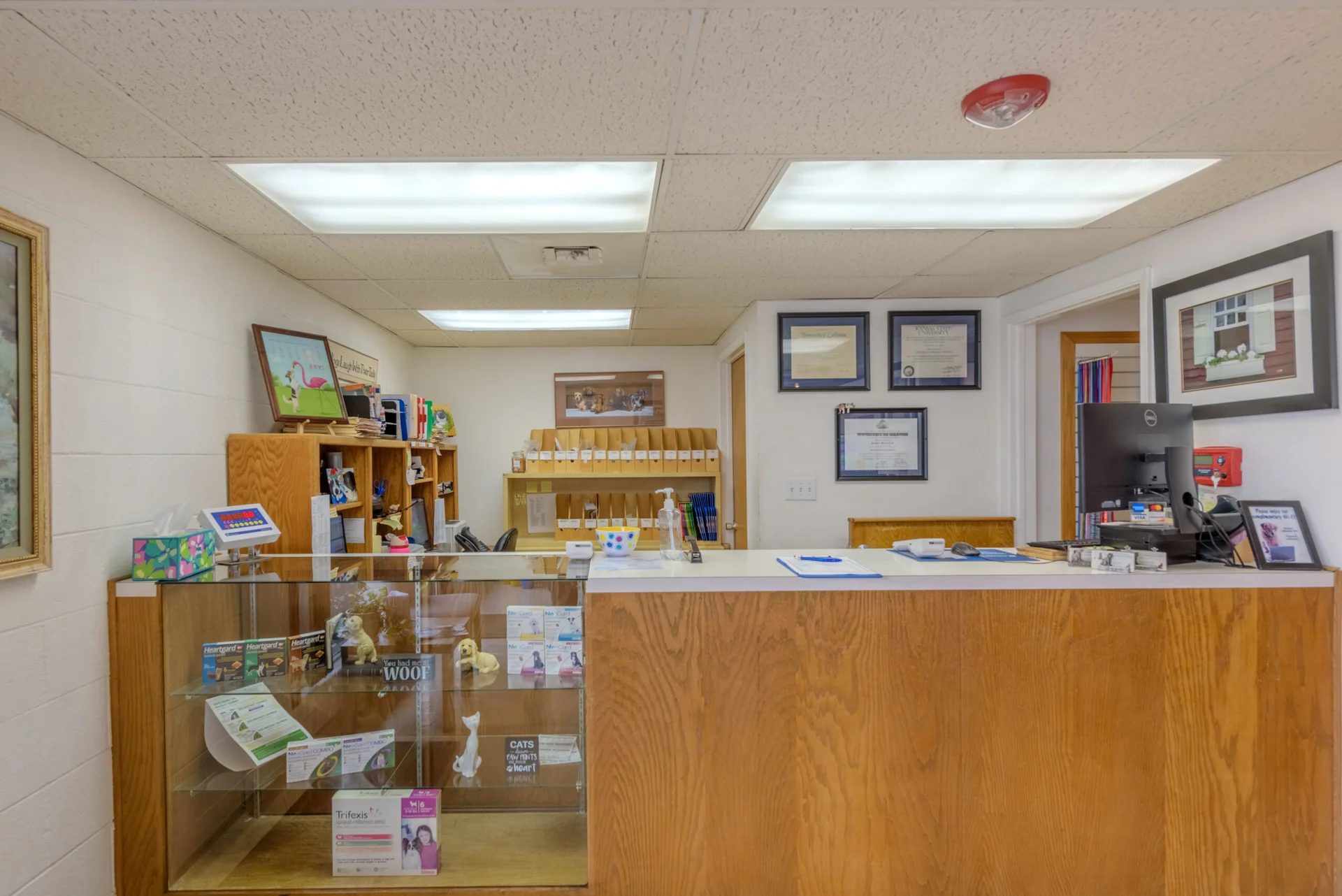Veterinary clinic reception desk with wooden counter and glass display case